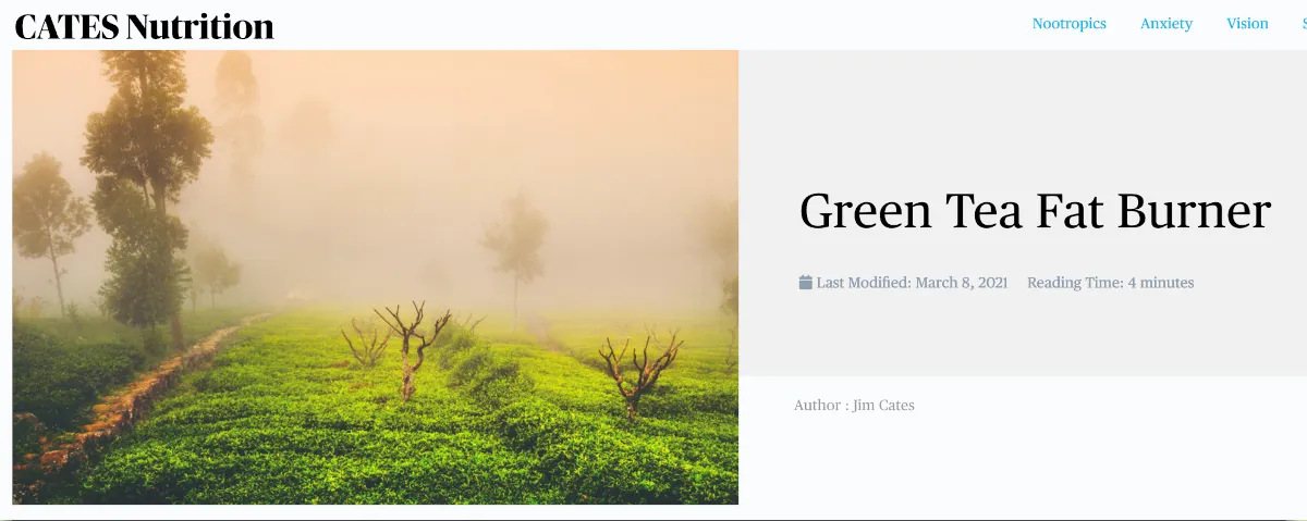 Another header section